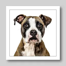 Gruff Pawtraits Greeting Cards