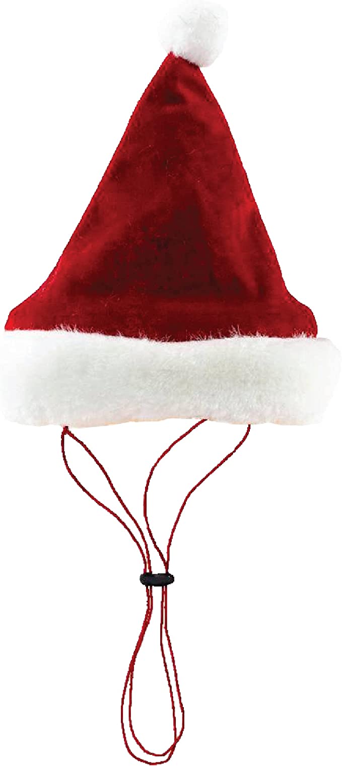 Pet Santa Hats by Huxley & Kent