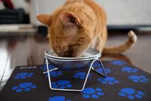 Americat Stainless Steel Bowls