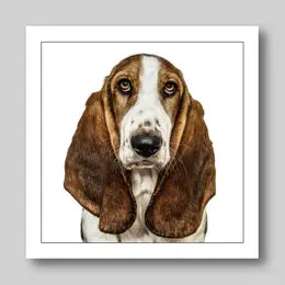 Gruff Pawtraits Greeting Cards
