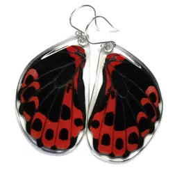 Wingstitution Butterfly Jewelry