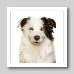 Gruff Pawtraits Greeting Cards