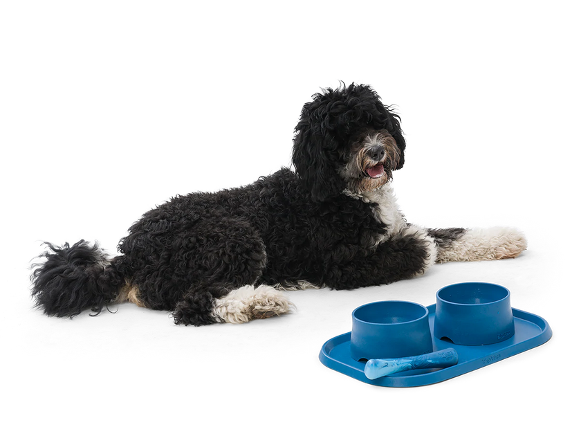 West Paw Seaflex Feeding Mat