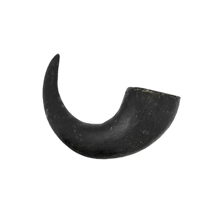 Water Buffalo Horns