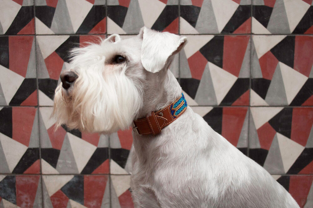 Nice Beast Collars