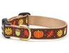 Up Country Collars- Fall Designs