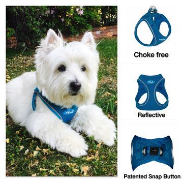 Step-in Air Mesh Harnesses by MyPlushUSA