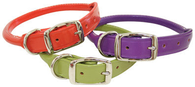 Auburn Leathercrafters Rolled Leather Dog Collar, Leashes and Collars