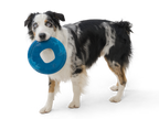 West Paw Seaflex Toys