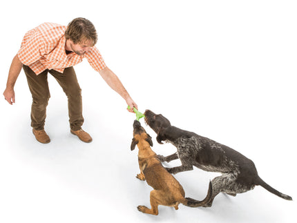 West Paw Skamp Tug & Fetch