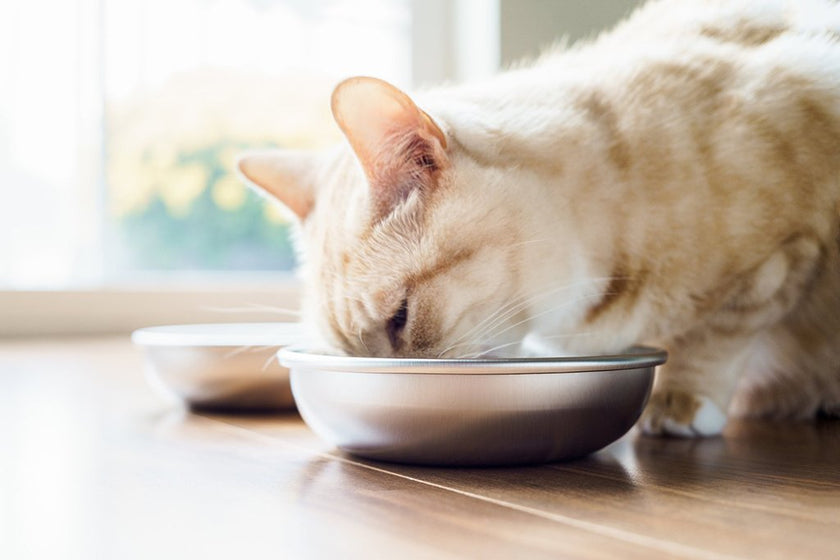 Americat Stainless Steel Bowls