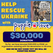 UNISEX Ukraine Support Pup Shirt