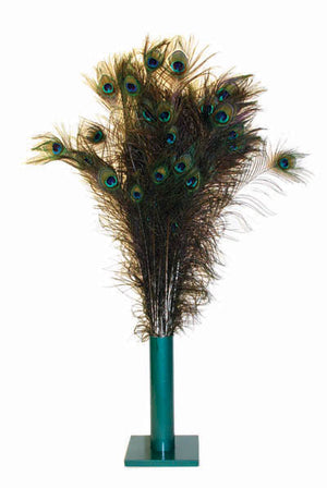 PURRfect All Natural Peacock Feather