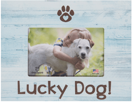 Dog Speak Dog and Cat Frame Collection