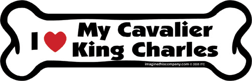 Imagine This Car Magnet, I Heart My..., Car Magnet