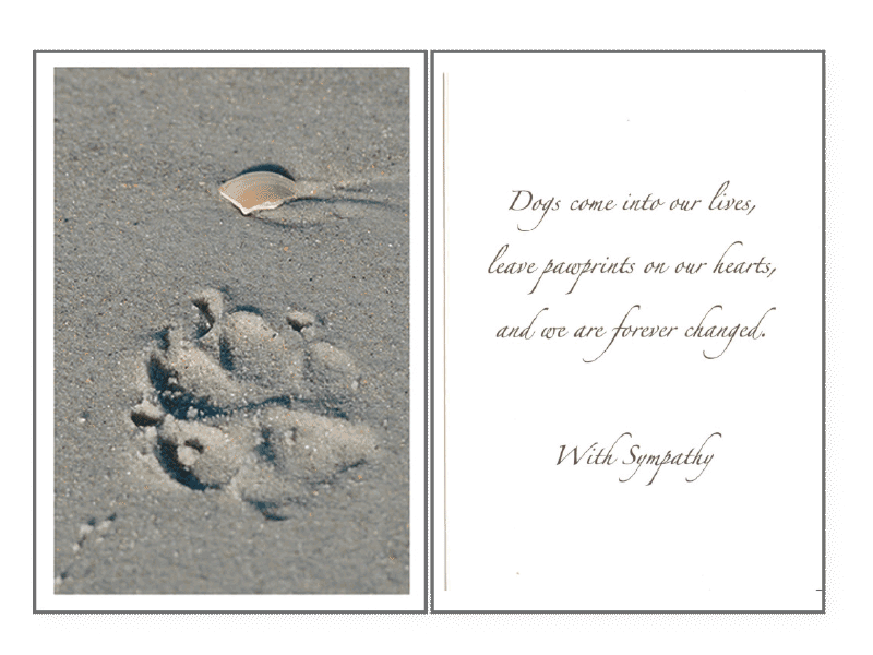 Dog Speak Sympathy Card Collection