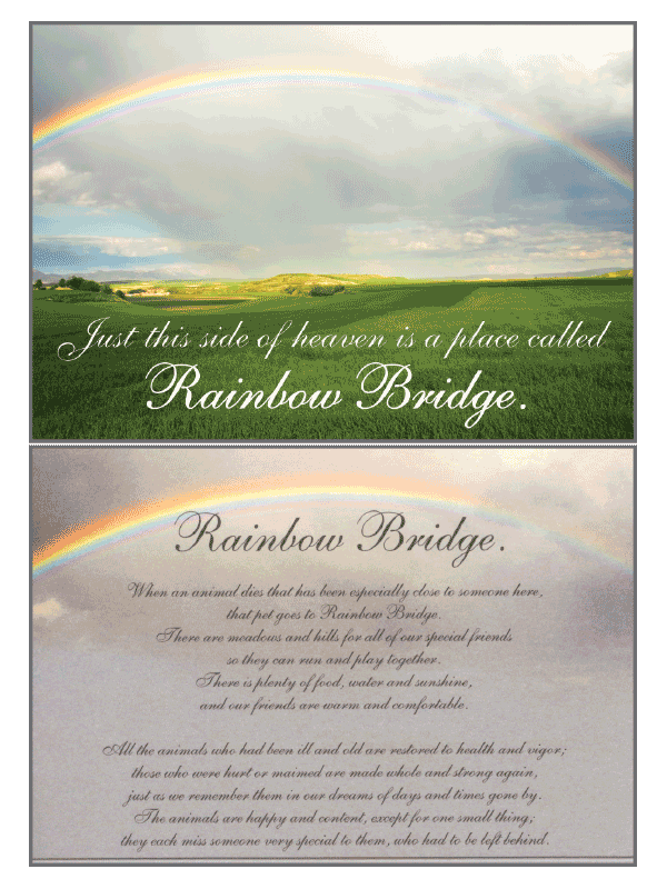 Dog Speak Sympathy Card Collection