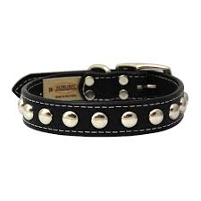 Auburn Leathercrafters Silver Studded Collar
