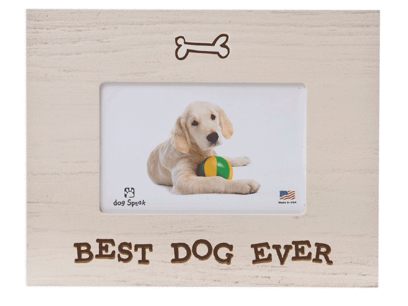 Dog Speak Dog and Cat Frame Collection