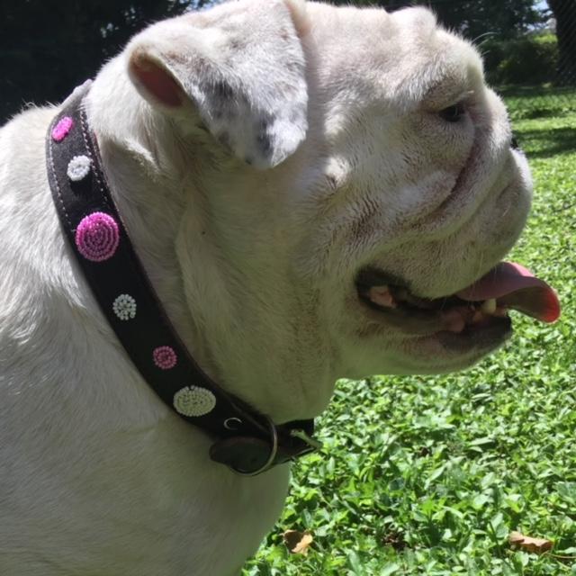 Rafiki Beaded Leather Collars