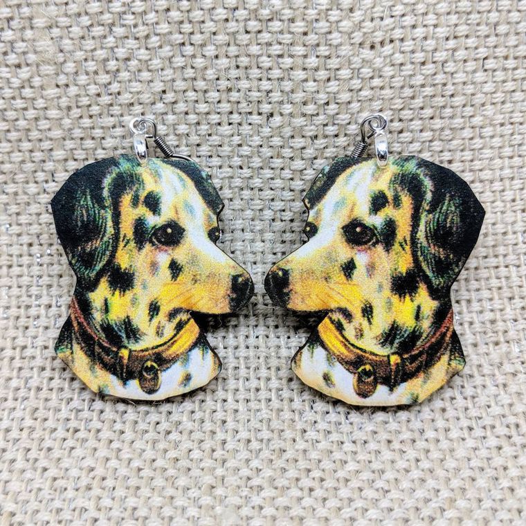Iamsonotcool Funky Wooden Jewelry