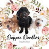 Dapper Doodles Pet Seat Belts