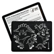 Vaccination Card Holders